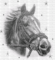 cheval - Бесплатный анимированный гифка