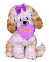 dog schlappi50 - Free animated GIF