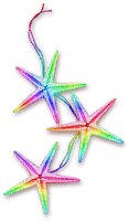 Starfish.Rainbow