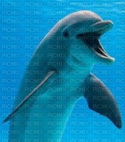 dauphin HD - PNG gratuit