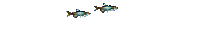 fish-1-NitsaPap - Bezmaksas animēts GIF