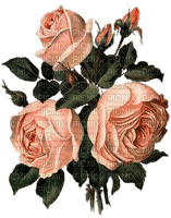 Salomelinda fleurs roses ! - besplatni png
