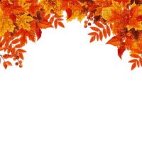 loly33 frame automne - 免费PNG