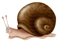 Kaz_Creations Snail Snails - gratis png