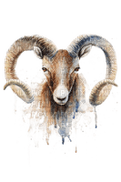 Steinbock - δωρεάν png