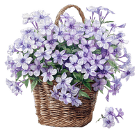 flower basket Bb2 - nemokama png