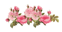 Flowers pink bp - ilmainen png