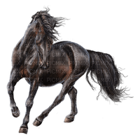 Horse - png grátis