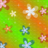 Daisy Flower Rainbow Background - GIF animate gratis