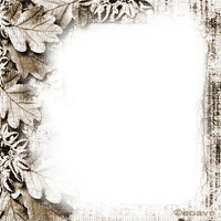 soave frame vintage autumn leaves sepia - 無料png