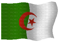 algeria - GIF animado grátis