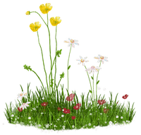 kikkapink deco grass flowers - png grátis