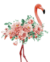 flamant rose.Cheyenne63 - Free PNG