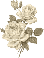 flowers roses - nemokama png