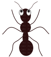 ant - Free PNG