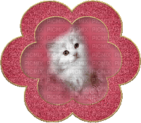 fleur chat - Gratis animerad GIF