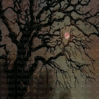 dark tree arbre gothic goth baum moon düster   paysage landscape image fond background   gif anime animated animation lune mond - GIF animado grátis
