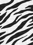 Zebra print - Darmowy animowany GIF