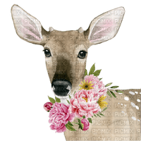 Kaz_Creations Deer - png gratuito
