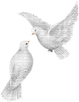 colombes - PNG gratuit