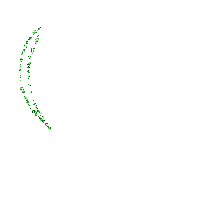 coe vert  green - Бесплатный анимированный гифка