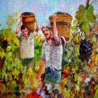 fond vineyard bp - besplatni png