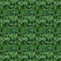 green leaves background - PNG gratuit