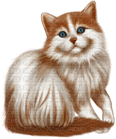 Cat Chat - zdarma png