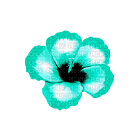Tropical.Flower.Teal - zadarmo png