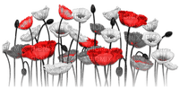 soave deco flowers poppy red black white - 無料png