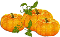 soave deco autumn thanksgiving pumpkin - бесплатно png