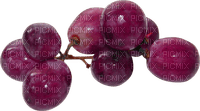 raisins, grape - PNG gratuit