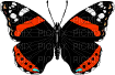 butterfly-NitsaPap - Nemokamas animacinis gif