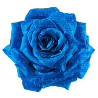 blue rose Bb2 - zadarmo png