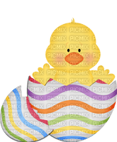 Easter. Chicken. Egg. Leila - zadarmo png