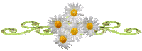cvijeće - Ingyenes animált GIF