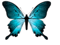 turquoise butterfly - 免费PNG