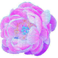 peony flower - Animovaný GIF zadarmo