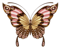 Butterfly - ilmainen png