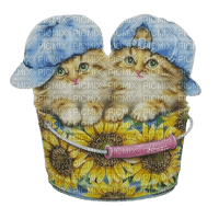 kikkapink spring summer cats cat - 免费PNG
