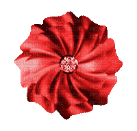 Flower, Flowers, Deco, Decoration, Red, GIf - Jitter.Bug.Girl - Безплатен анимиран GIF