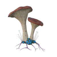 mushroom, sieni - PNG gratuit