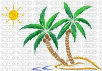 palmiers - Free PNG
