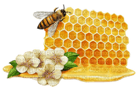 Honeycomb Bee Flower - Bogusia - gratis png
