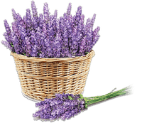 soave deco laventer flowers garden basket - kostenlos png