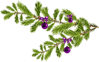 Christmas.Winter.Deco.Green.Purple - Free PNG