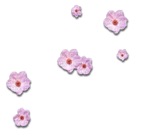 Pink Flowers - PNG gratuit
