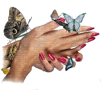 ruka motyl - Darmowy animowany GIF