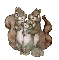 Salomelinda écureuils ! - GIF animé gratuit