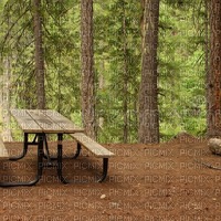 Forest Picnic Area - Free PNG